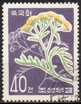 Корейская марка с изображением пижмы обыкновенной.
